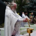 DSC03988 1280x853